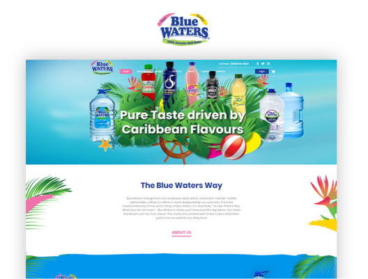 BLUE WATERS E-COMMERCE ENTERPRISE PLATFORM
